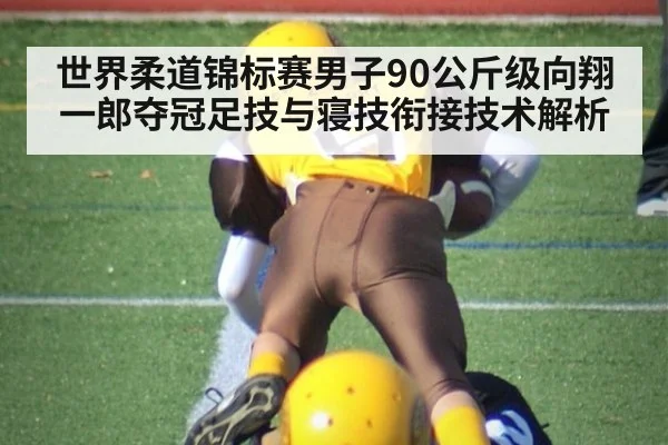 世界柔道锦标赛男子90公斤级向翔一郎夺冠足技与寝技衔接技术解析