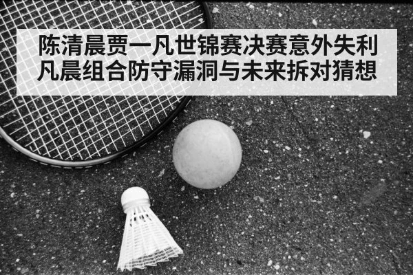 陈清晨贾一凡世锦赛决赛意外失利 凡晨组合防守漏洞与未来拆对猜想